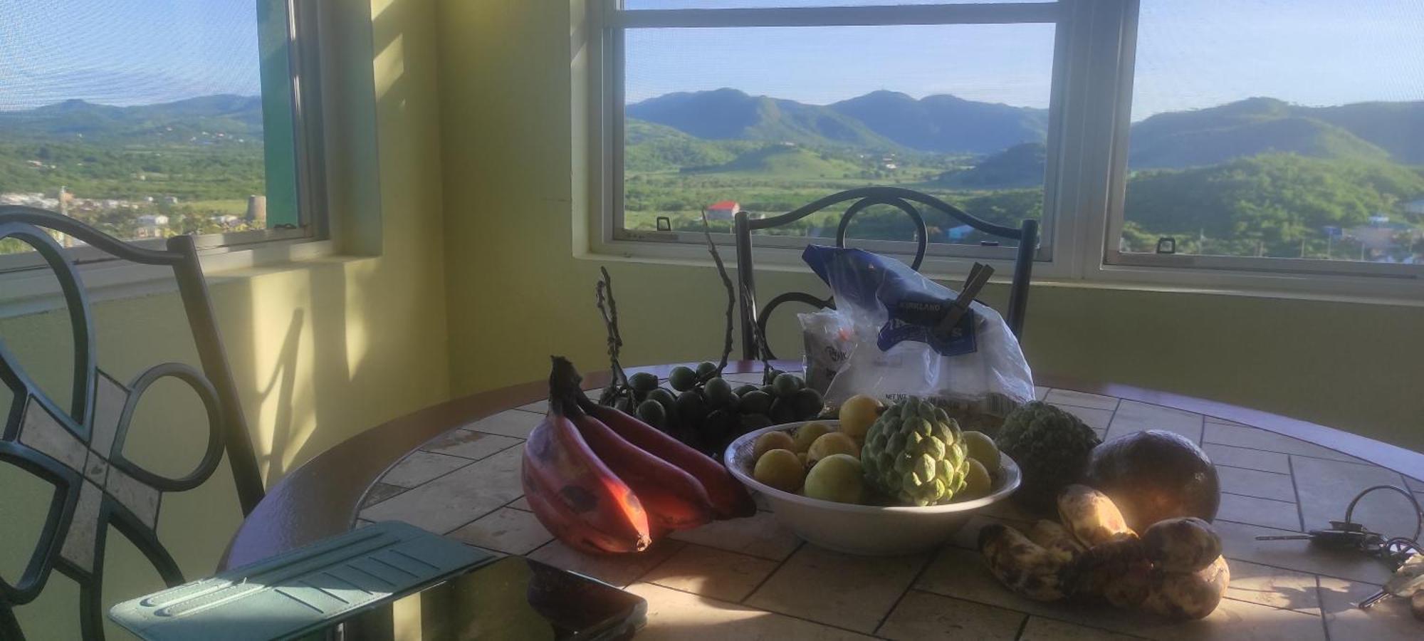 Zeus Estate Guesthouse St. John's المظهر الخارجي الصورة